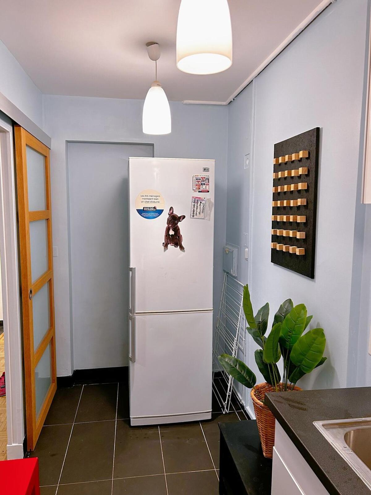 Apartment Large Charming In Paris